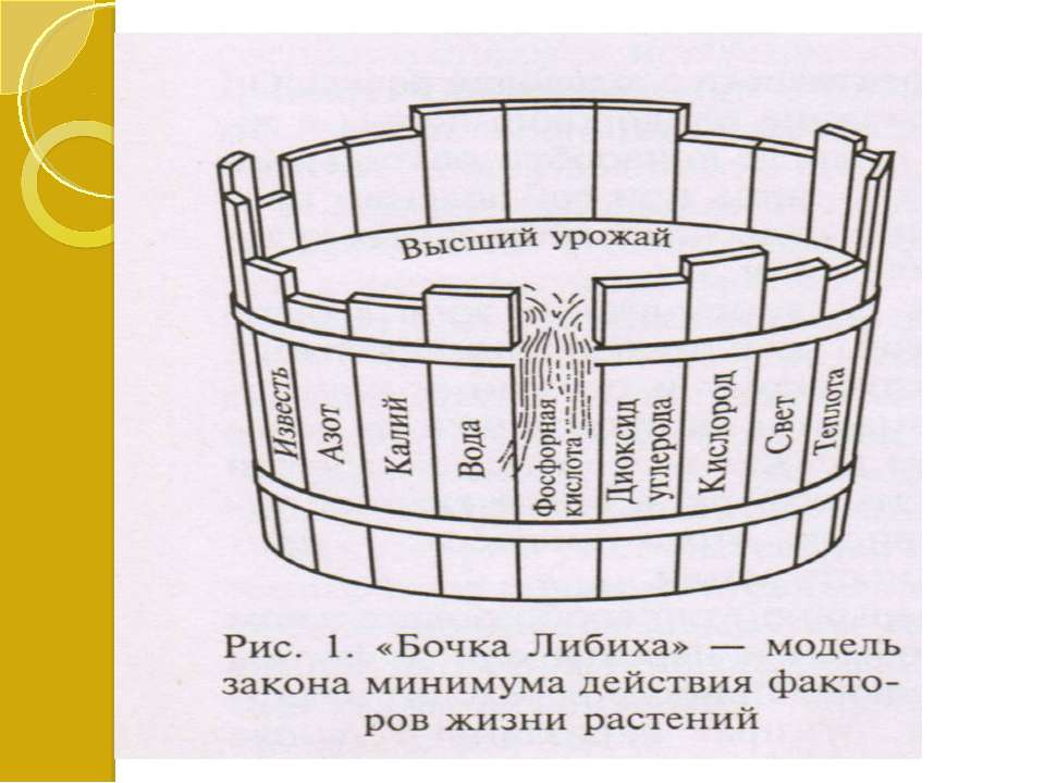 Экологические факторы окружающей среды