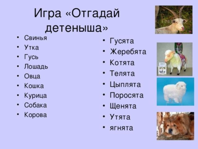 §14. клички животных, наименования видов растений, сортов вин. справочник по правописанию и стилистике [1997]
