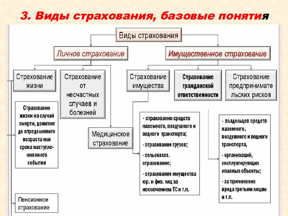 Страхование жизни — как работает, какие виды существуют