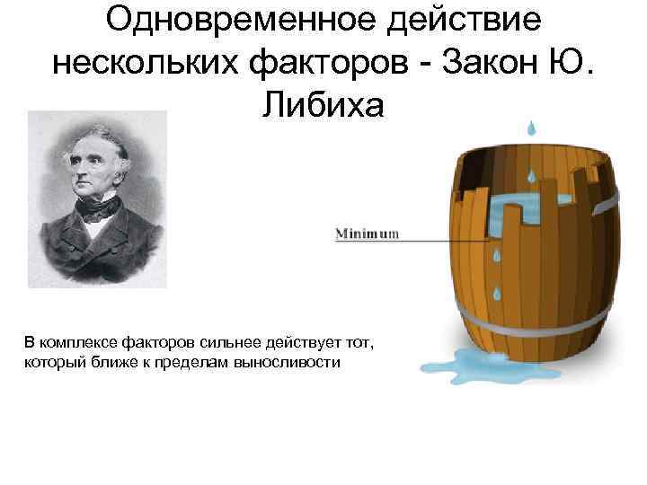 Экологические факторы среды