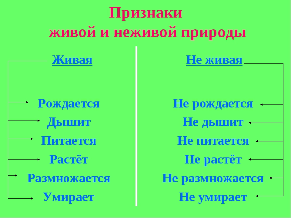 Окружающий мир 3 класс 1 часть. тела, вещества, частицы стр. 36 – 39