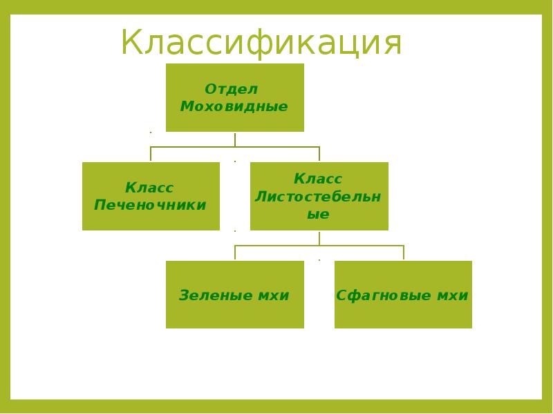 Основы систематики и классификации растений. особенности растительной клетки
