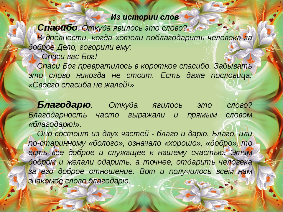 Как правильно писать не: слитно или раздельно с разными частями речи?