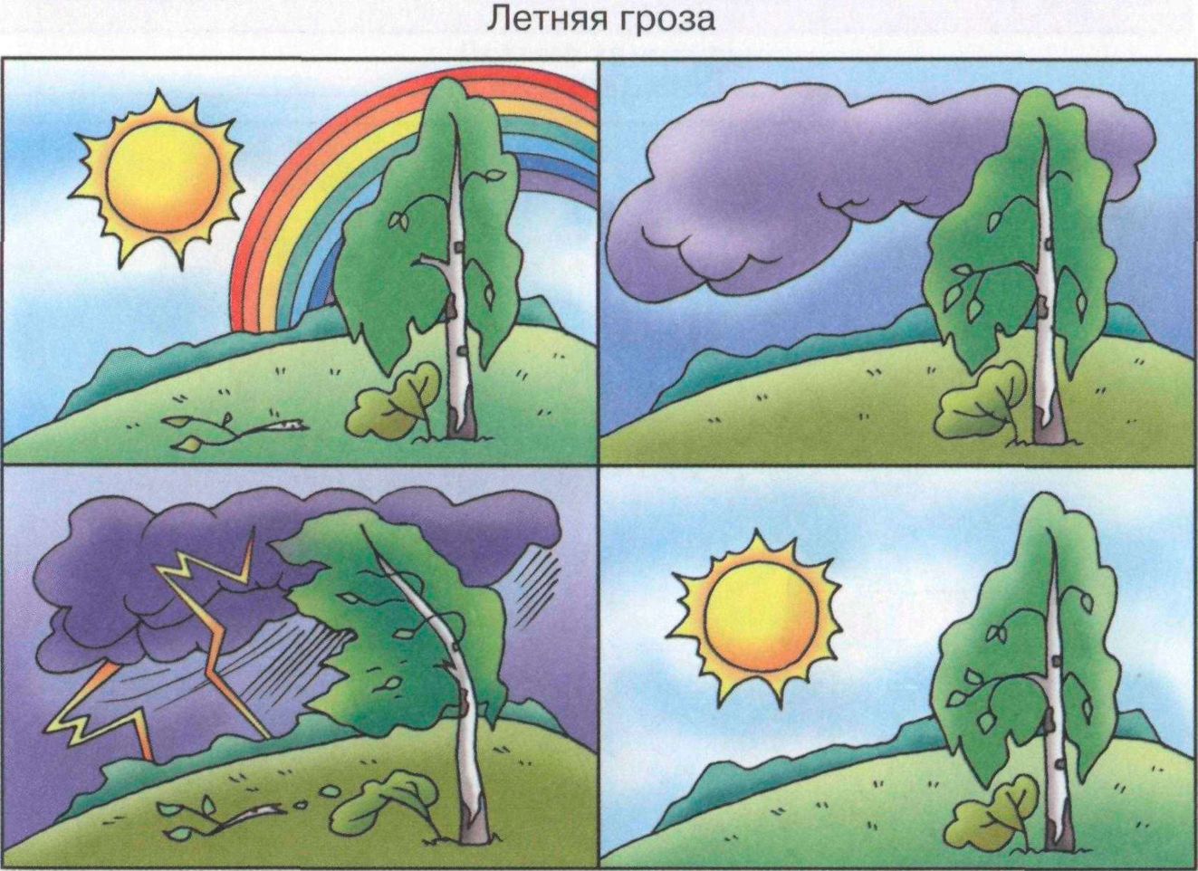 Живая и неживая природа определение, отличие, признаки, примеры явлений и предметов