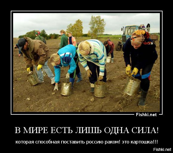 Как пишется слово выкопать картошку