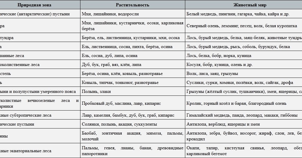 Природные зоны россии: арктика, тундры, лесотундры, тайга, пустыни