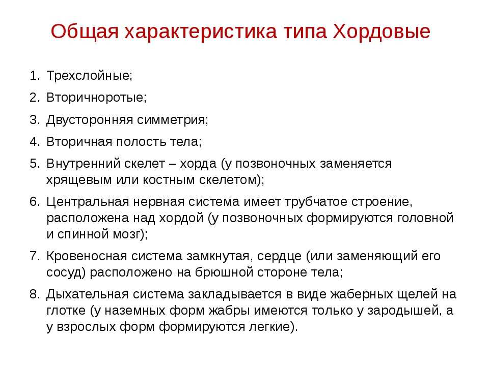 Урок 11: тип хордовые - 100urokov.ru