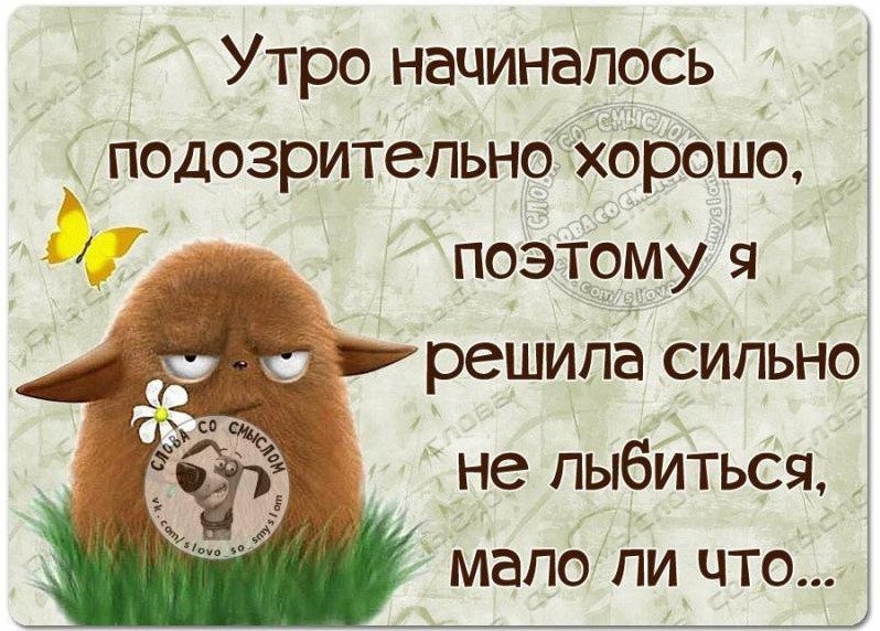 С утра или сутра - как правильно пишется слово?