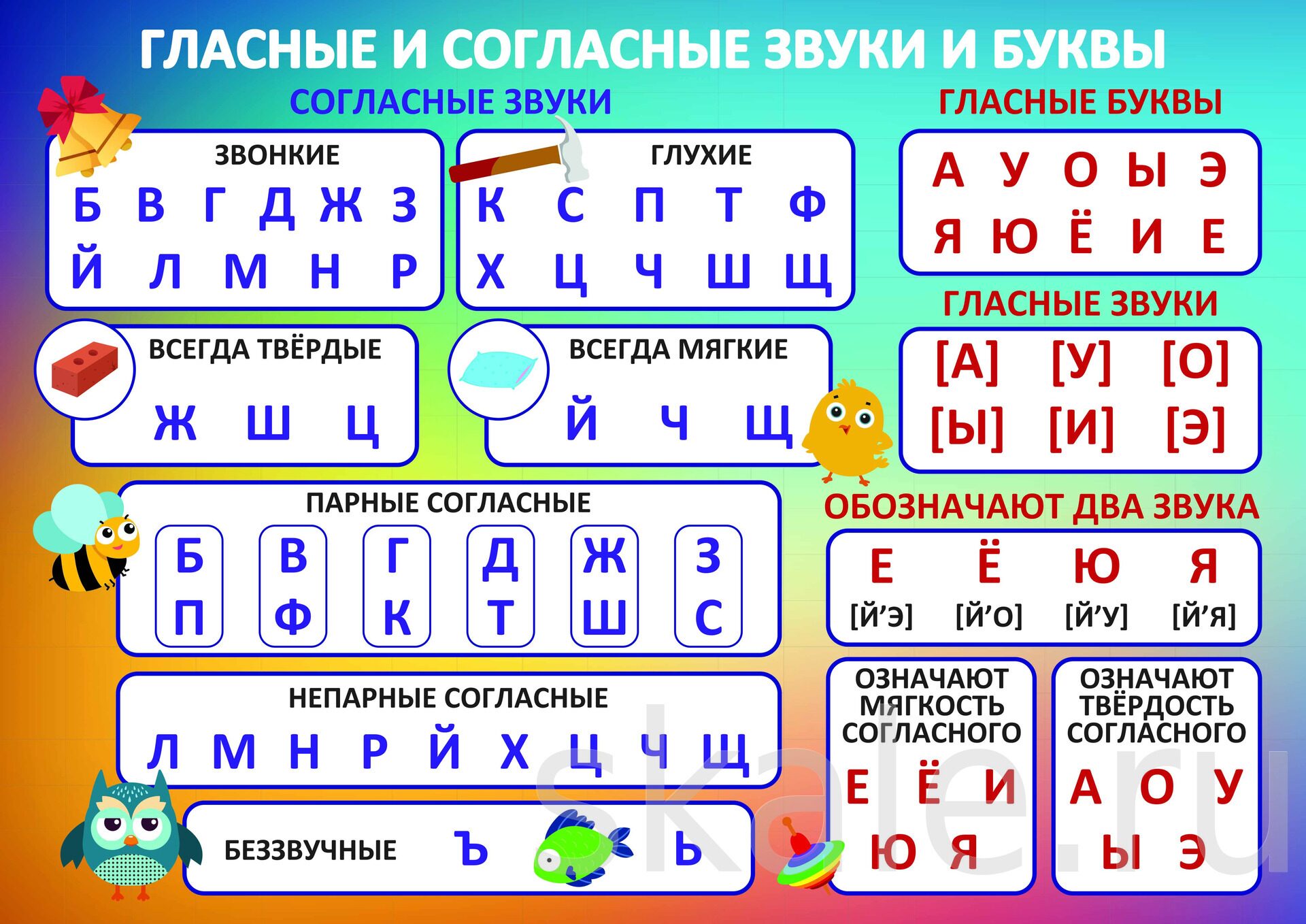 Гласные ⭐️ и согласные звуки: чем различаются, характеристика, орфоэпические нормы произношения