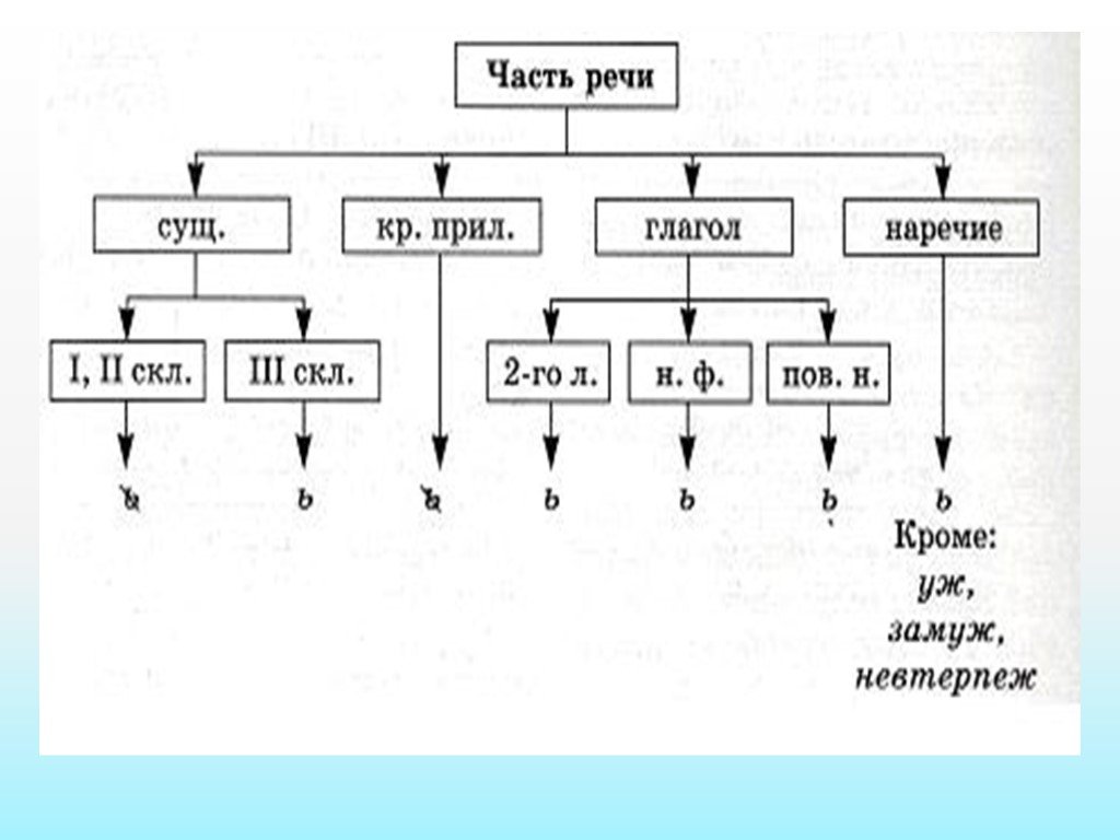 Мягкий знак после шипящих