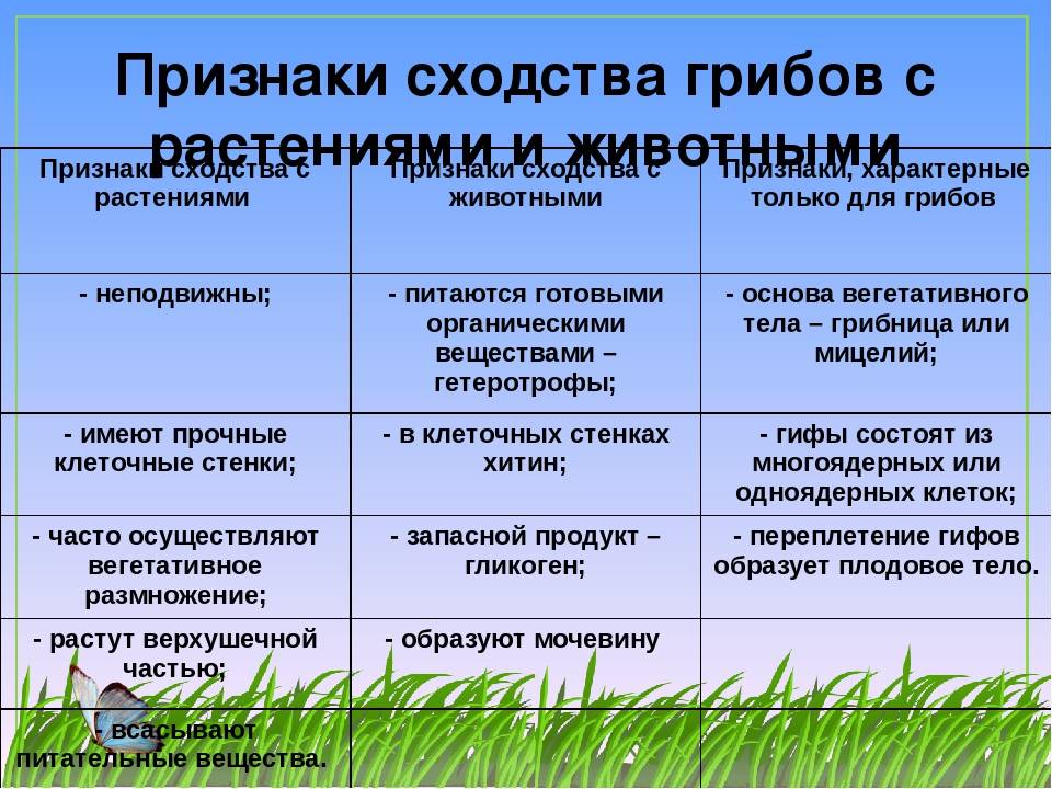 Потребители, производители и разрушители в природном сообществе