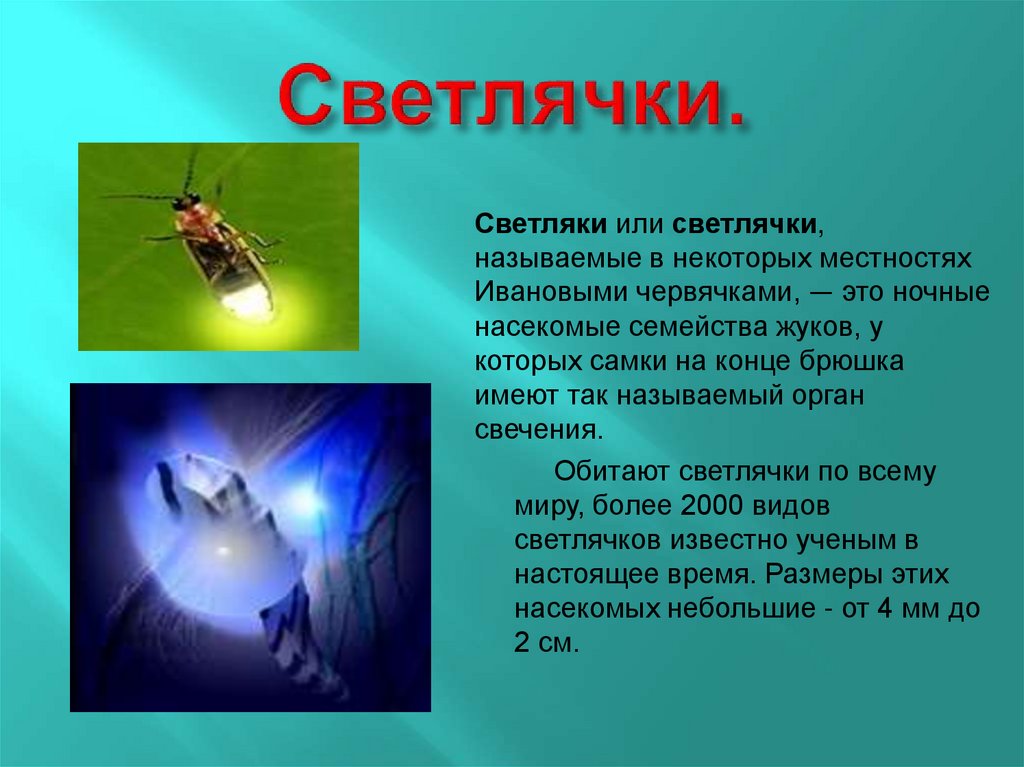 Не сможет или несможет: как правильно пишется