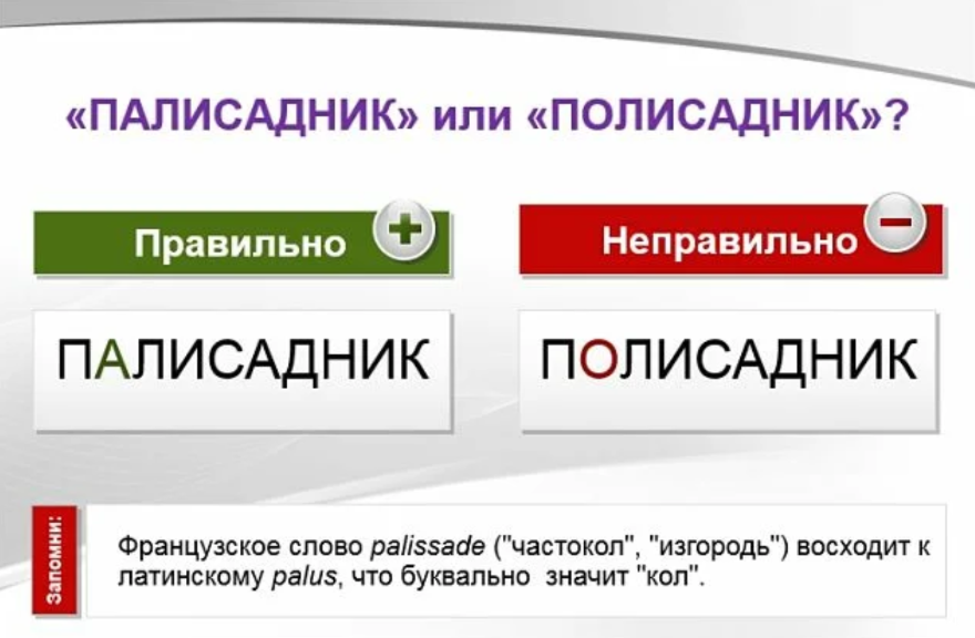 Парчевый или парчовый как пишется и почему - портал по русскому языку