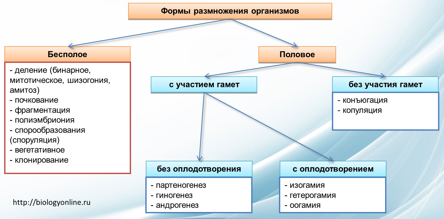 19. размножение: бесполое и половое. биология. общая биология. 10 класс. базовый уровень
