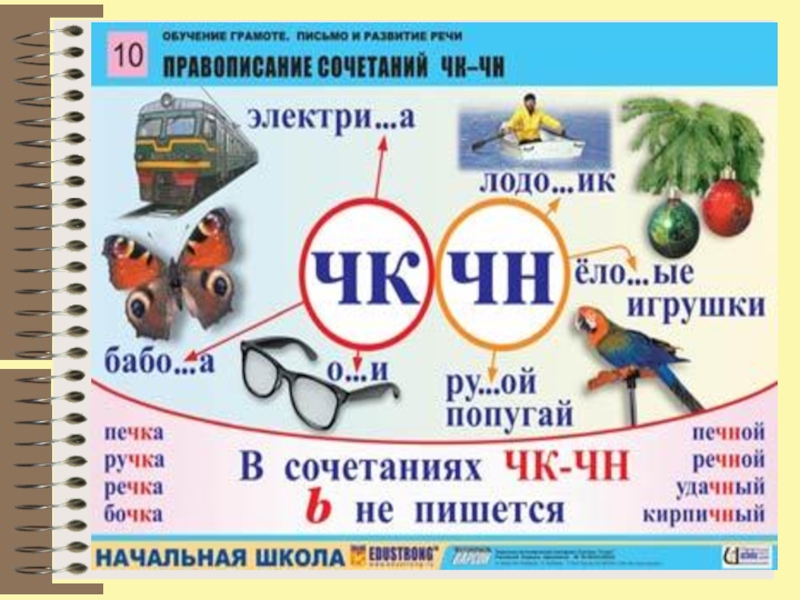 Как правильно писать слово «честно» или «чесно»: правила и примеры