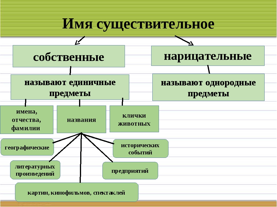 Собственные и нарицательные существительные