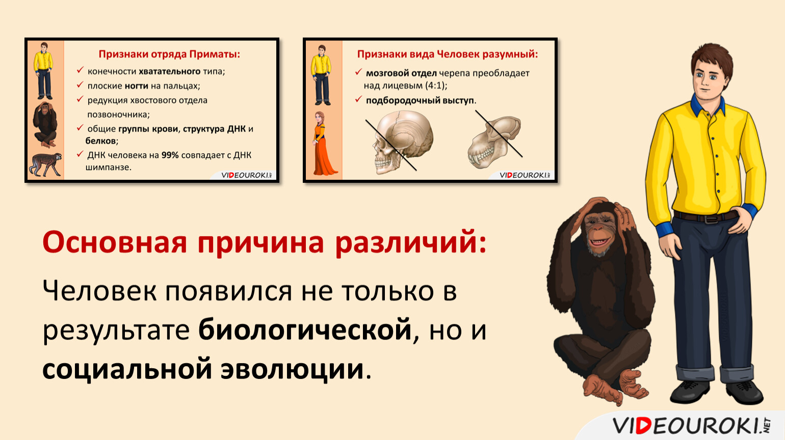 Происхождение человека #59