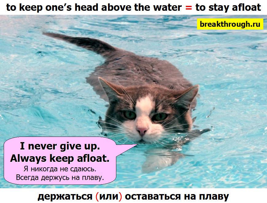 Как правильно писать "на плаву": морфологический и фонетический разбор слова