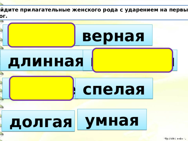Русский язык