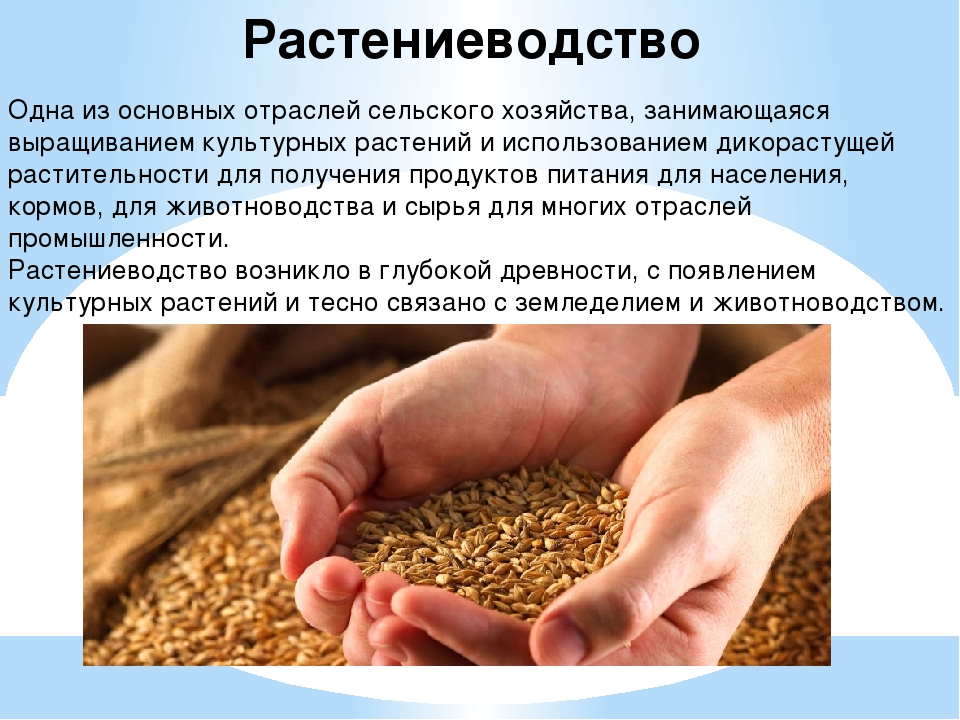 Мировое сельское хозяйство