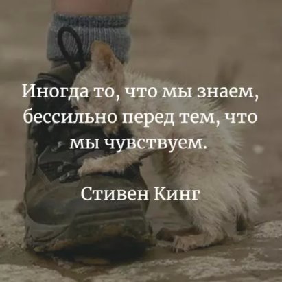 Узнаем через какую согласную букву пишется слово бессилен Рассмотрим правила русского языка и примеры предложений для слова бессилен