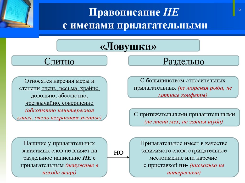 Не с прилагательными / имя прилагательное / морфология / справочник по русскому языку 5-9 класс