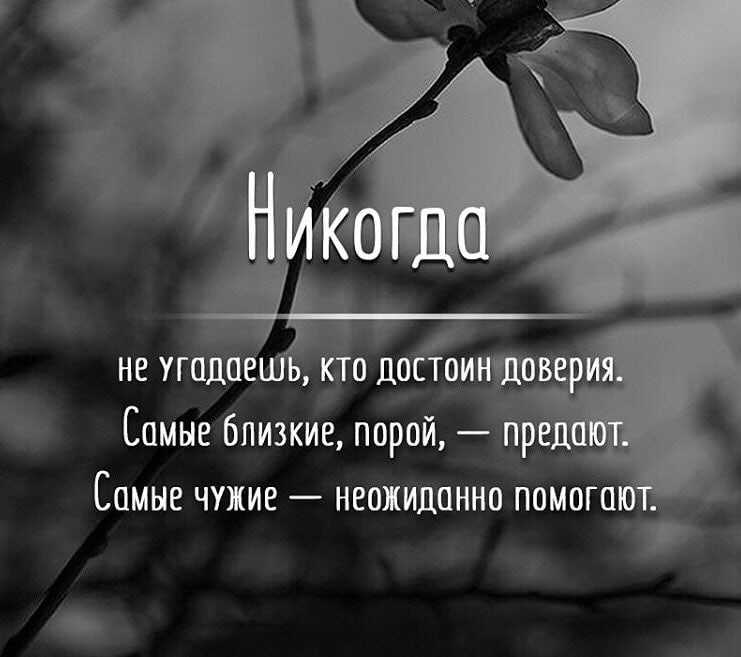 Правописание приставок пре- и при-