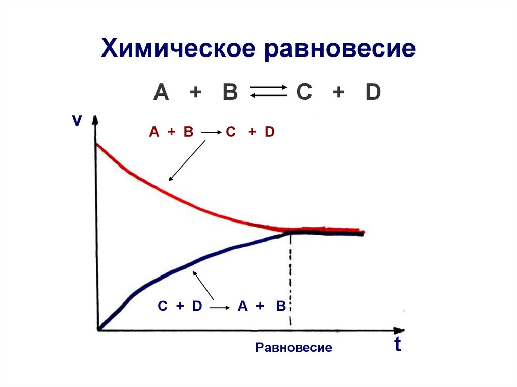 Основные закономерности протекания химических реакций