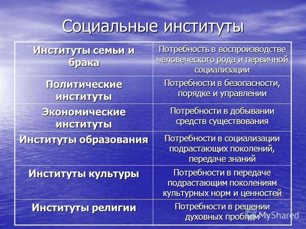 Социальный институт