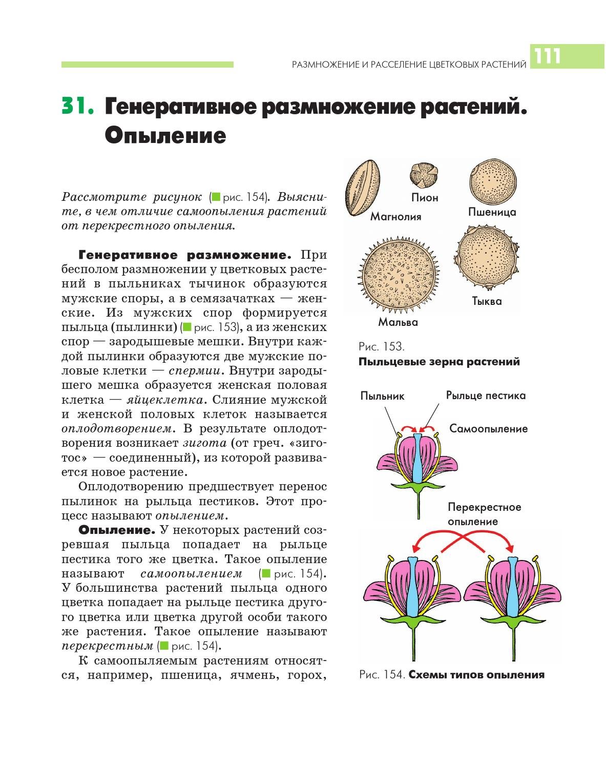 Строение покрытосеменных растений