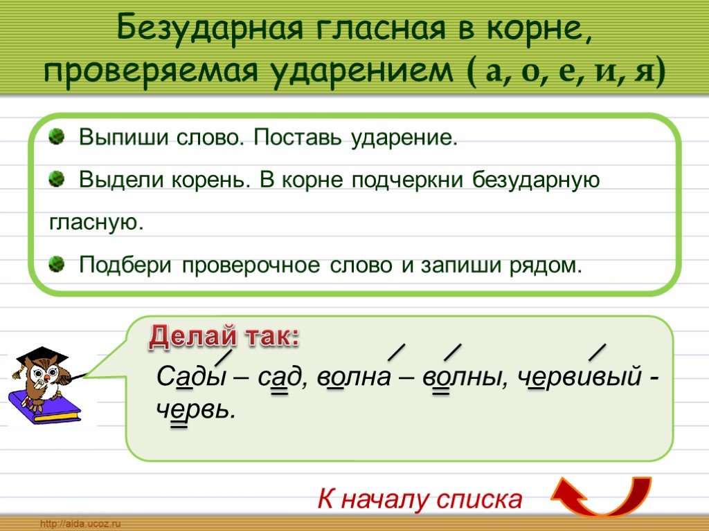 Как пишется слово "не всякий" ? правописание слова "не всякий"