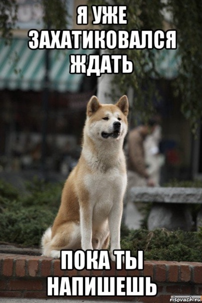 Как правильно пишется "пока" или "пока что"