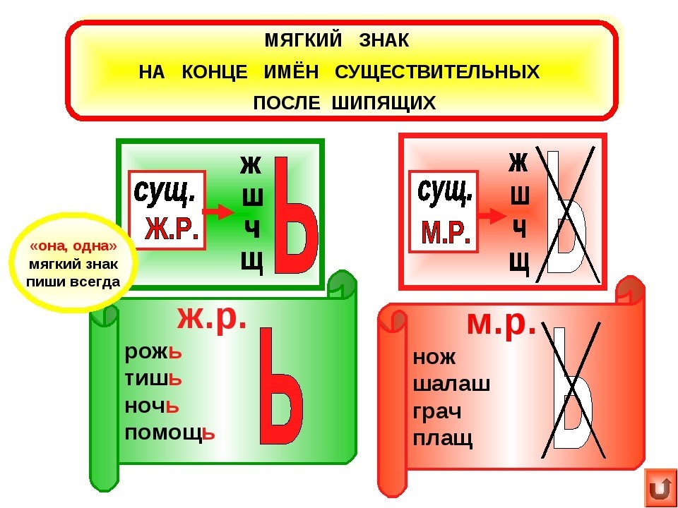 Как правильно пишется слово заботишься: правописание, правило, примеры, морфологический разбор? - правильно писать "заботишься"!