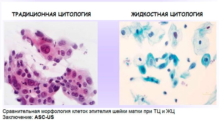 Цитология
