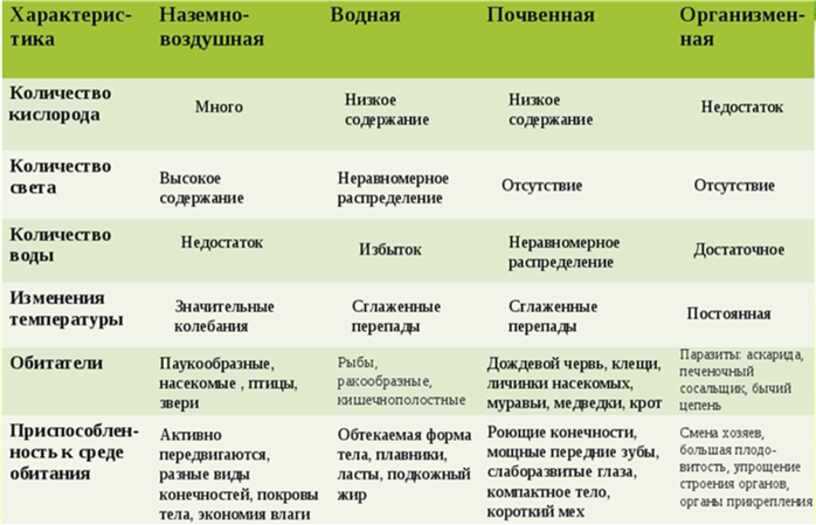 Влияние основных экологических факторов на растения презентация, доклад