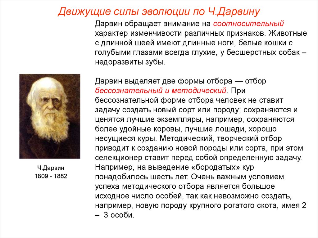 Нейтральная теория эволюции: почему выживает не сильнейший, а тот, кому повезло — нож
