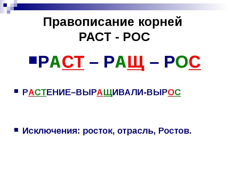 Много березовых рощ как пишется правильно