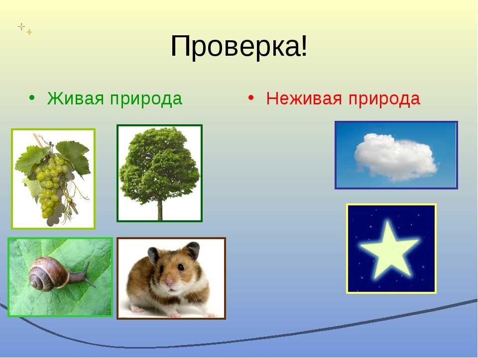 Конспект урока и презентация к уроку по окружающему миру умк "школа россии" на тему "природа и рукотворный мир" (2 класс). природа и рукотворный мир: дидактическая игра для детей природа и рукотворный мир конспект урока
