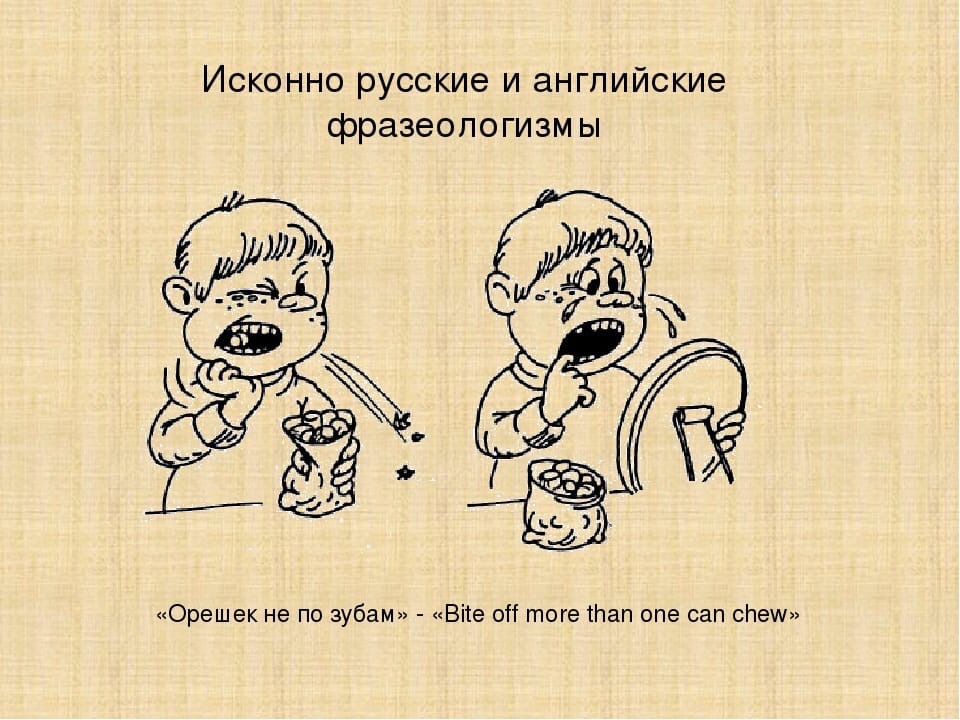 Правописание предлогов: слитно или раздельно, через дефис, пол