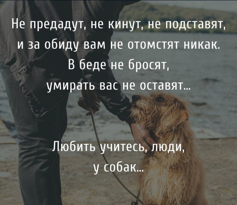 Предать как пишется правильно и почему: правила написания и объяснение