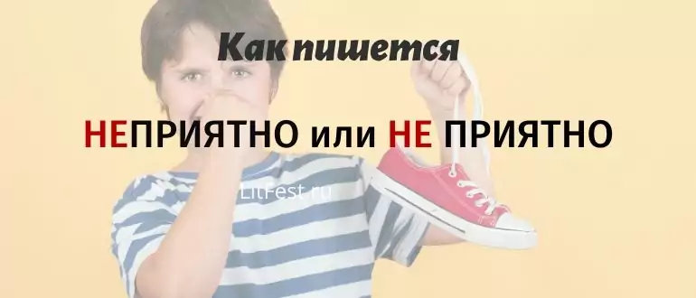 Узнаем как правильно пишется слово недопустимо слитно или раздельно Правила русского языка и примеры предложений