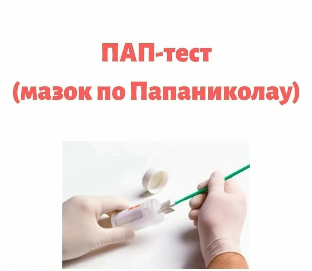 Современная клеточная теория, ее основные положения / справочник :: бингоскул