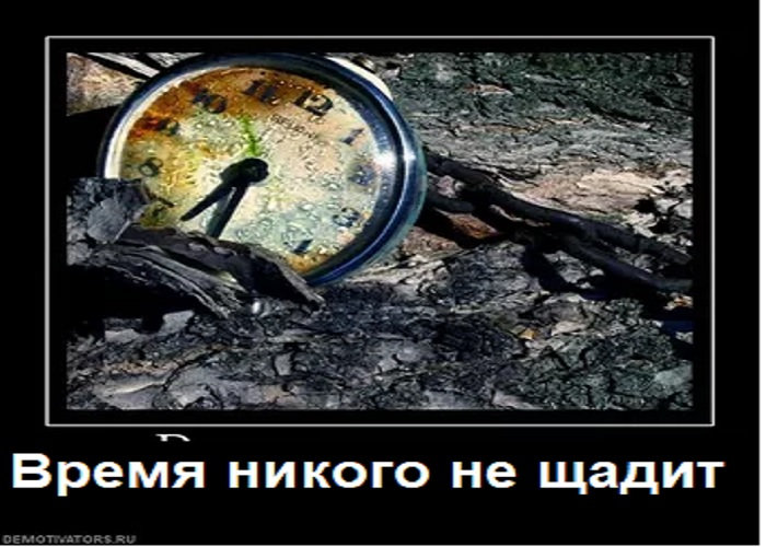 Щадить — морфологический разбор слова, часть речи