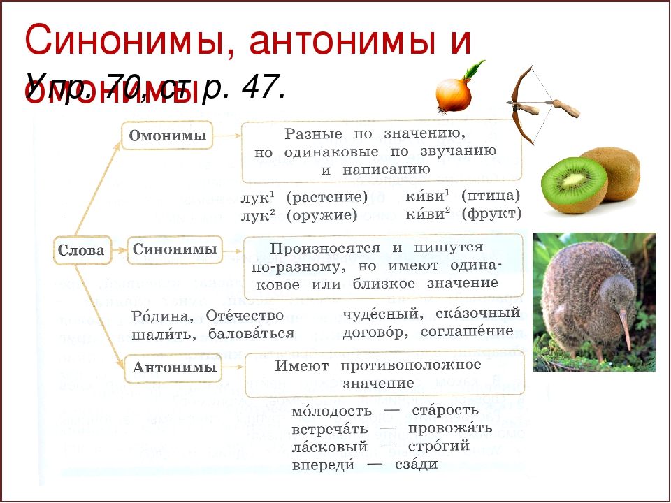 Задание 22. лексическое значение слова. синонимы. антонимы. омонимы. фразеологические обороты. группы слов по происхождению и употреблению