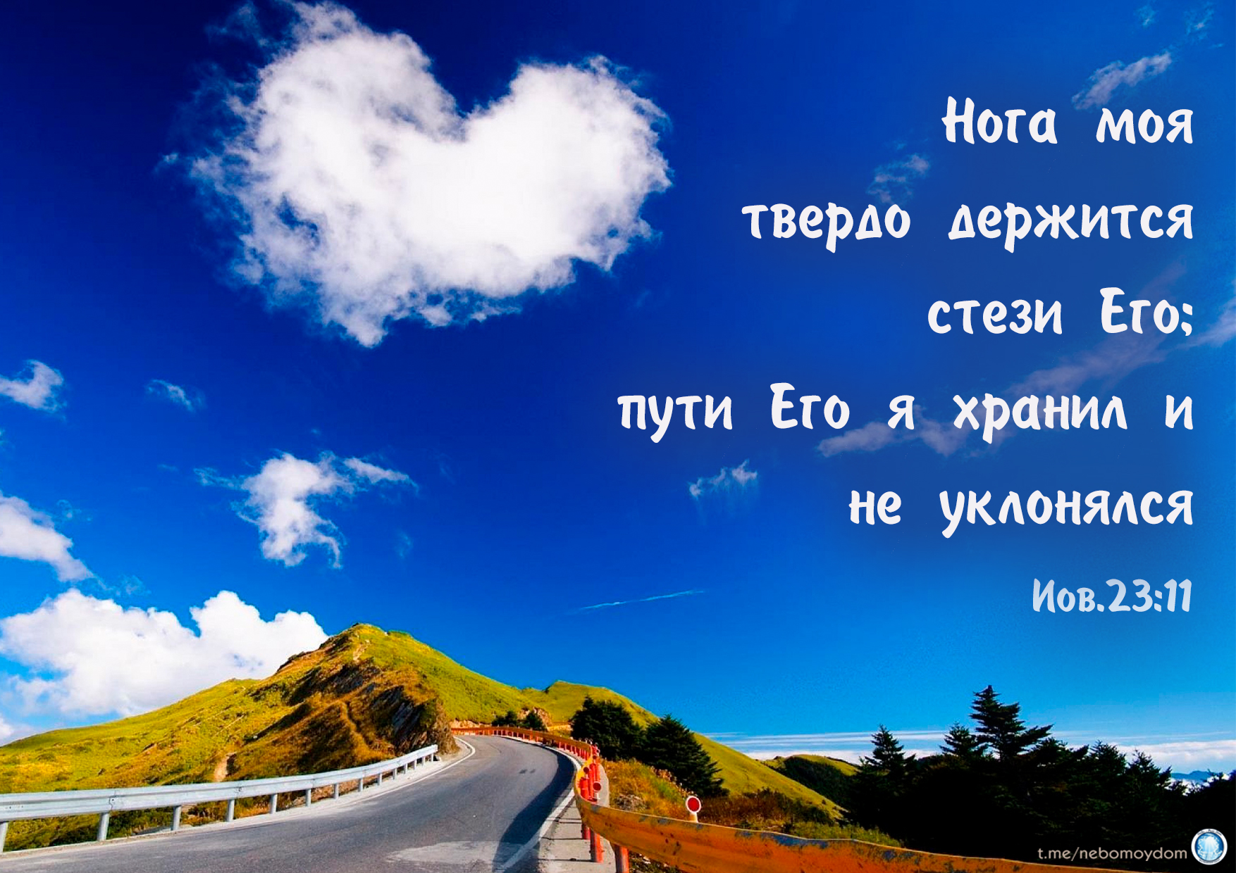 Kmsauto net – активатор windows 7, 10, 11 скачать официальную версию