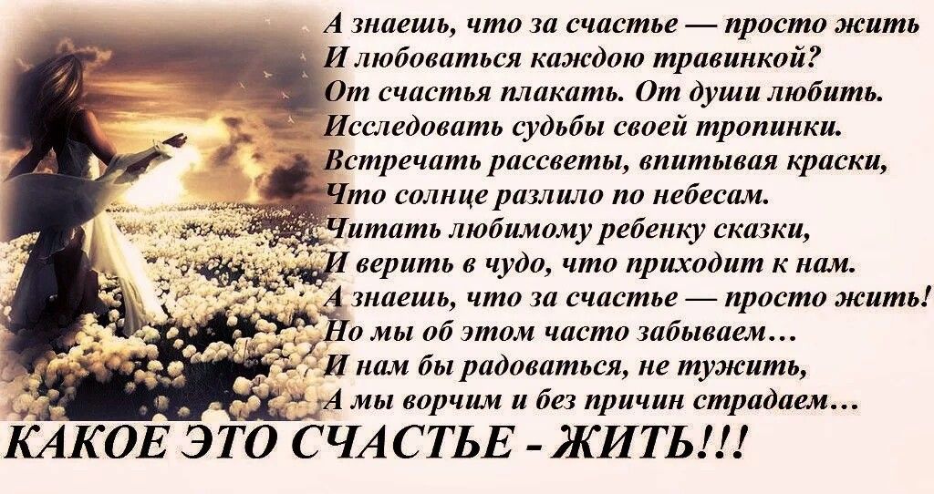 Структура делового письма. правила и примеры. шаблон для примера