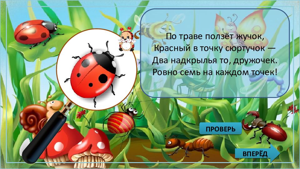 Как пишется слово жучок через о или е - граматика и образование на pisanino.ru