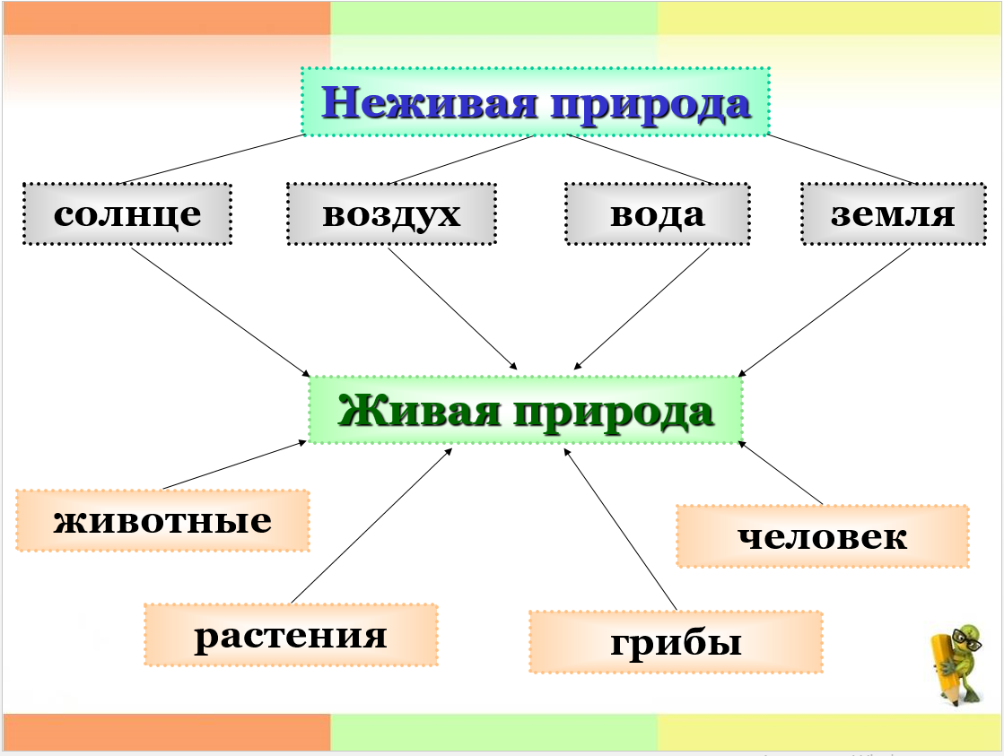 Конспект урока по окружающему миру
на тему «что нас окружает.
рукотворные и природные объекты»
в 1 классе | начальная школа  | современный урок