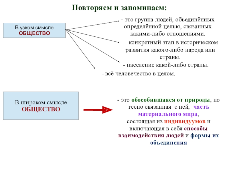 Общество