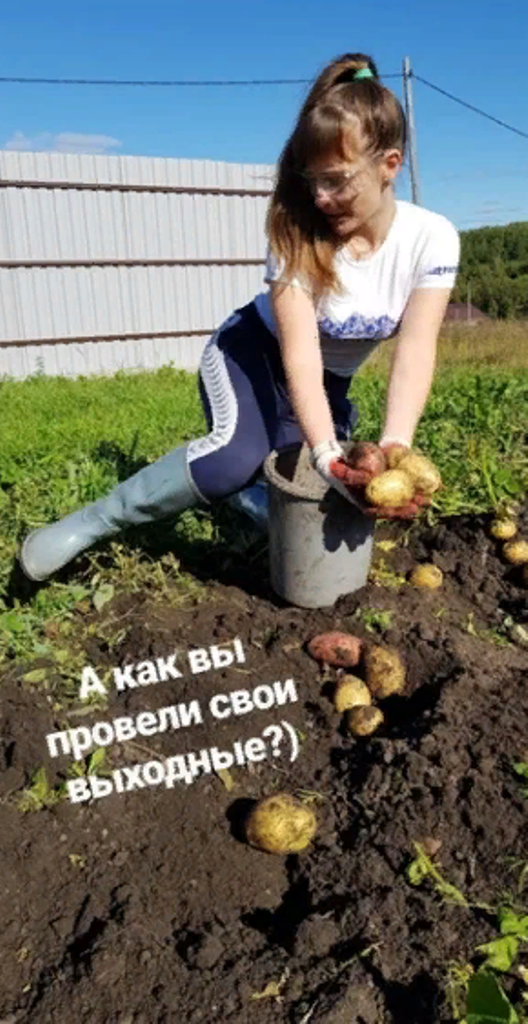 Выкопать картошку как правильно писать, копаться или капаться?